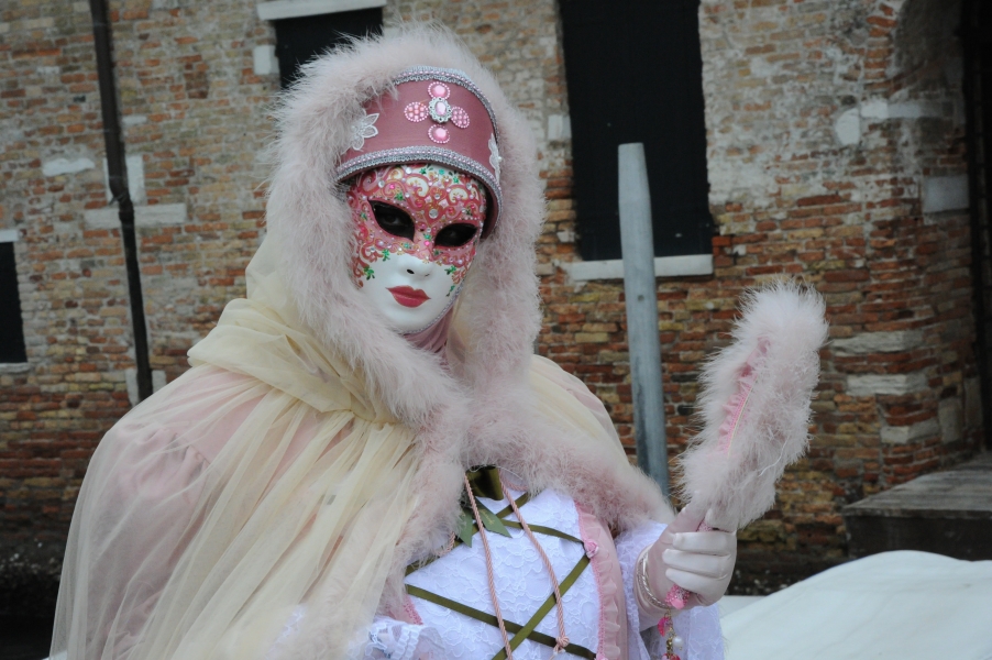20 Carnaval de Venise 2017 (Costumée autour de l'Eglise N.D.de la Salute)