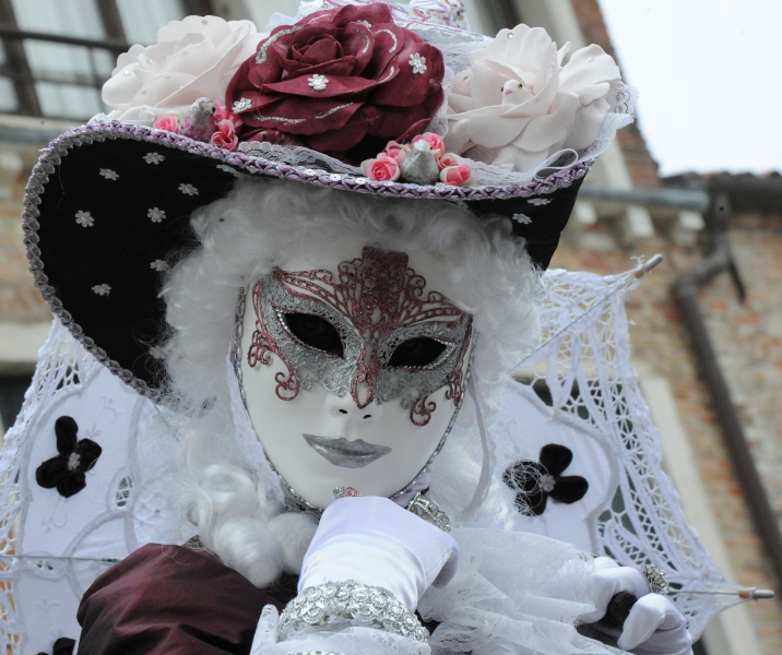 21 Carnaval de Venise 2017 (Costumée autour de l'Eglise N.D.de la Salute)
