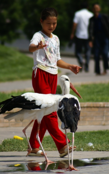 3 TASCHKENT